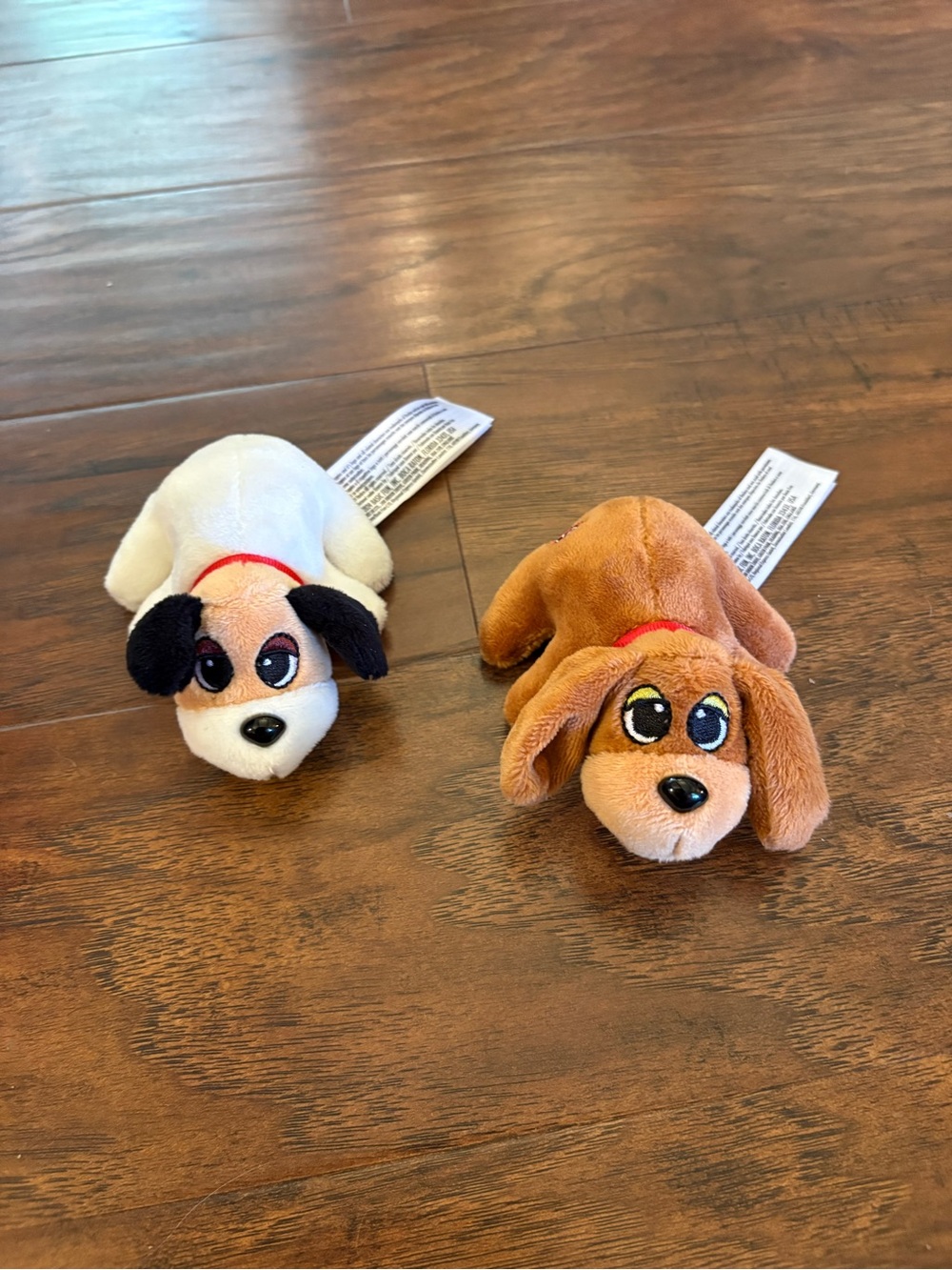 2 mini pound puppies